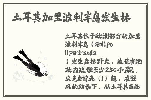 打扑克的小视频不用下载